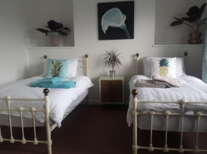 Cardiff City center, entire townhouse